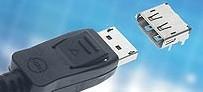 DisplayPort*